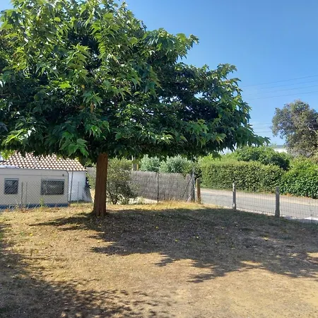 Charmante Maison Avec Jardin Pres Pour 4 Pers. - Fr-1-540-312 *
