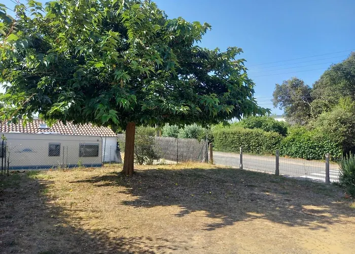 Maison De Tranquille A Notre-dame-de-monts, Proche Plage, 4 Personnes - Fr-1-540-312 *